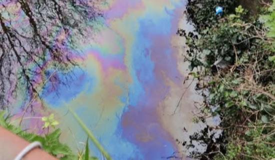 'Fuel' in Tavistock Canal sparks Environment Agency investigation