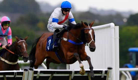 Newton Abbot Races. Pic from PPAUK