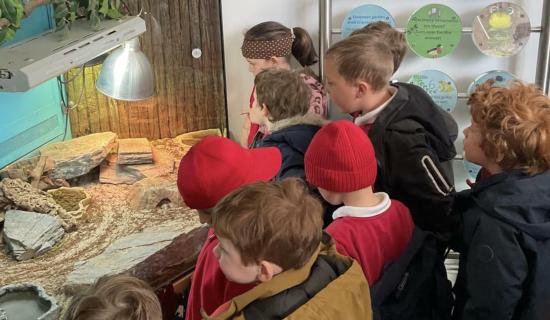 School trip to Dartmoor Zoo gave Lamerton children hands-on learning with animals and habitats