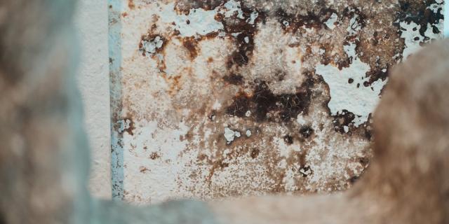 West Devon Council launches new campaign to tackle rising damp and mould in homes