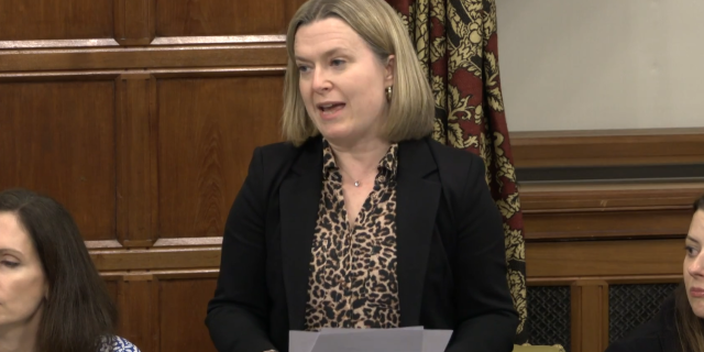 MP warns lives are at 'risk' as new Bill targets horse and rider safety