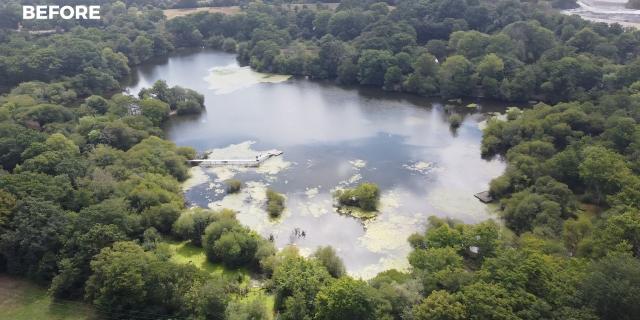 The area subject to the Zitherixon Quarry proposal at Kingsteignton (Image courtesy- Stop The Quarry Expansion - Save Our Trees)