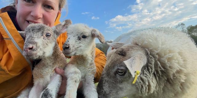 Devon confirms plans for new crisis support fund