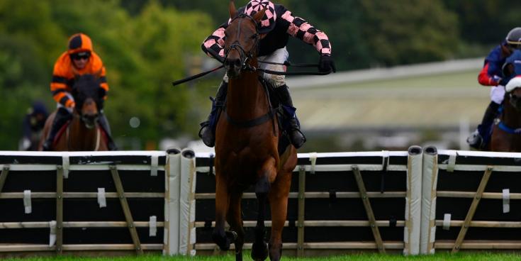 Prince Zaltar races to victory. Pic from PPAUK