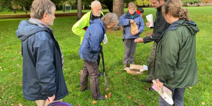 Bovey Tracey Bulb Planting Credit- Mayor Cllr Sheila Brooke