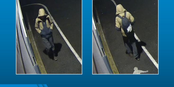 Investigators say the man pictured may have vital information about the moments before or after the fatal collision (Image- D&C Police)