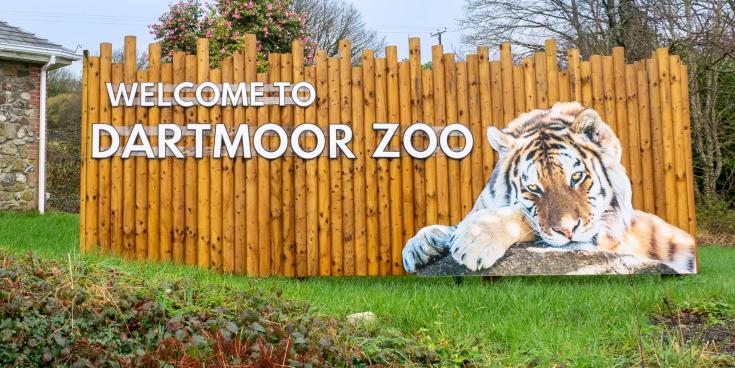 Record attendance at Dartmoor Zoo follows new ticketing changes and investment in facilities and habitats (Image- Kira Butters)
