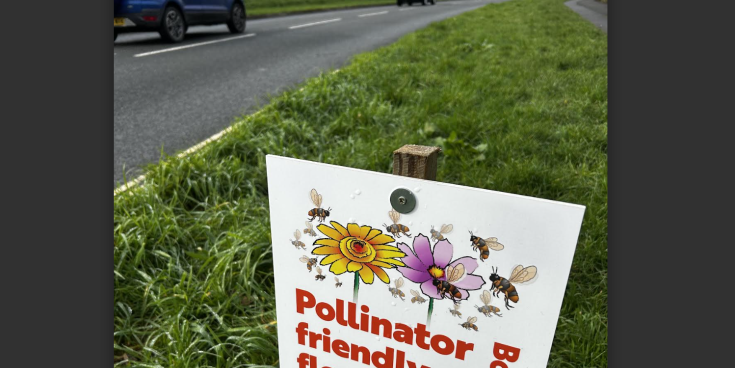 Greener roadside verges for Bovey Tracey