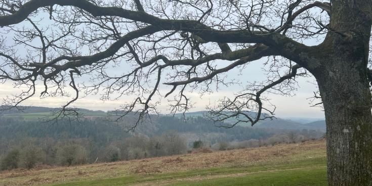 Experts select Dartmoor as one of the South West&rsquo;s standout areas (Image- Jamie Townsend)