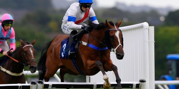 Newton Abbot Races. Pic from PPAUK