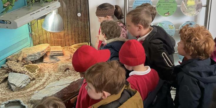 School trip to Dartmoor Zoo gave Lamerton children hands-on learning with animals and habitats