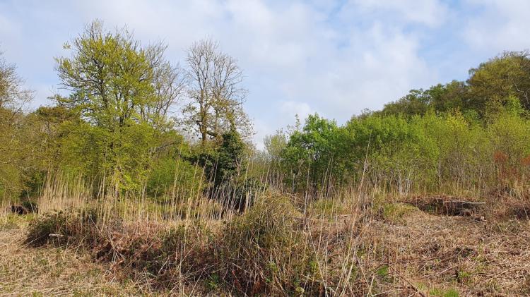 Over &pound;10k raised in Newton Abbot amid &lsquo;end game&rsquo; fight to protect Wolborough Fen
