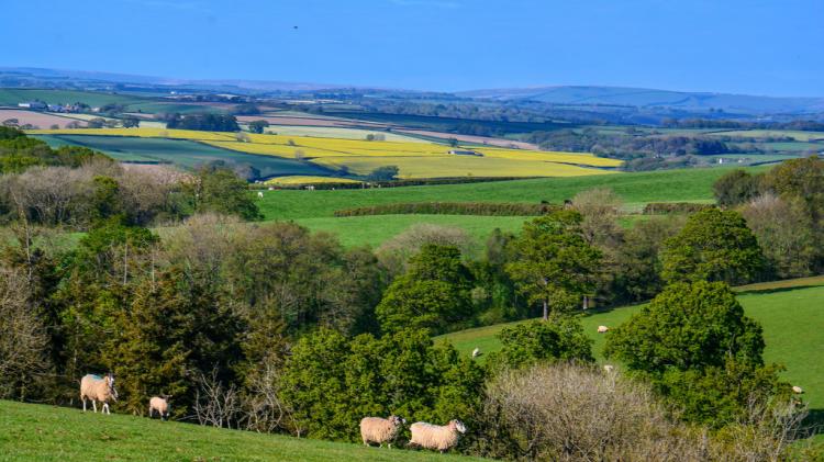 Devon residents invited to shape future of local government in county-wide consultation