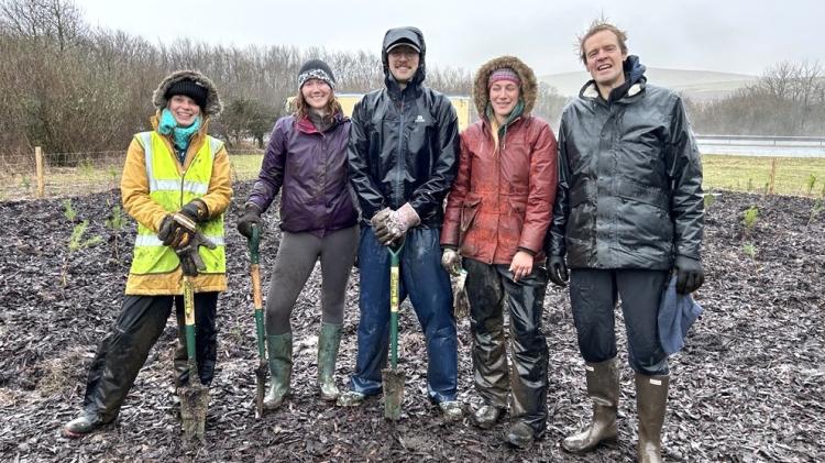 First 'tiny forest' planted on Devon's major road network
