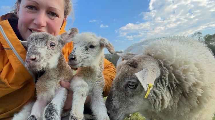 Devon confirms plans for new crisis support fund