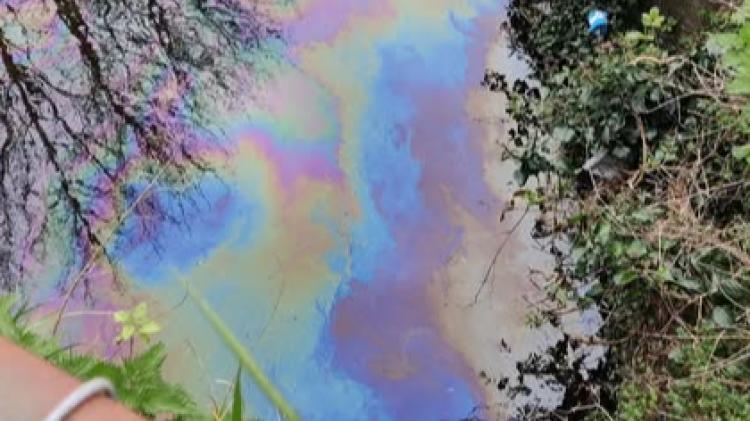 'Fuel' in Tavistock Canal sparks Environment Agency investigation