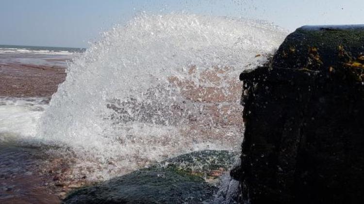 Waste water outlet at Goodrington (Image courtesy: Guy Henderson) 