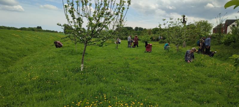 The ‘secret’ orchard