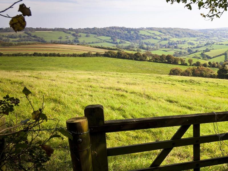England’s ‘pivot year’ in BPS decline