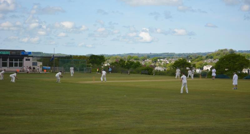 Tavistock CC