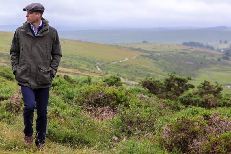 Bold nature recovery plan for Wistman’s Wood