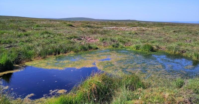 Restoring vital peatlands project wins award for nature protection in National Parks 