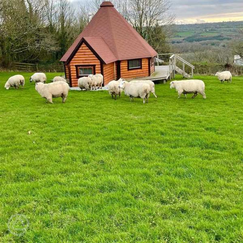 ESCAPE TO NATURE: DISCOVER THE BEST CAMPING SPOTS NEAR DARTMOOR NATIONAL PARK