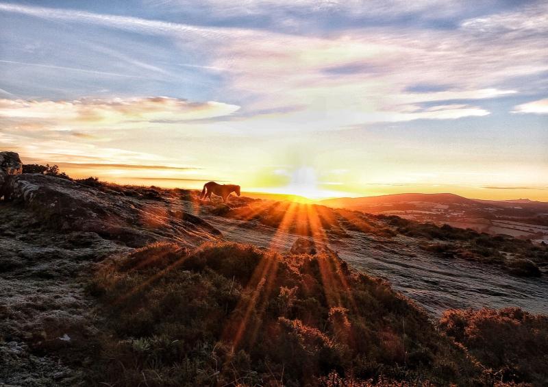 Farmer sought for protected landscape funding panel