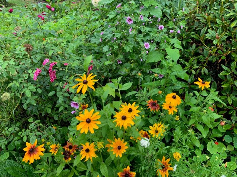 In the Garden with Michael Pell