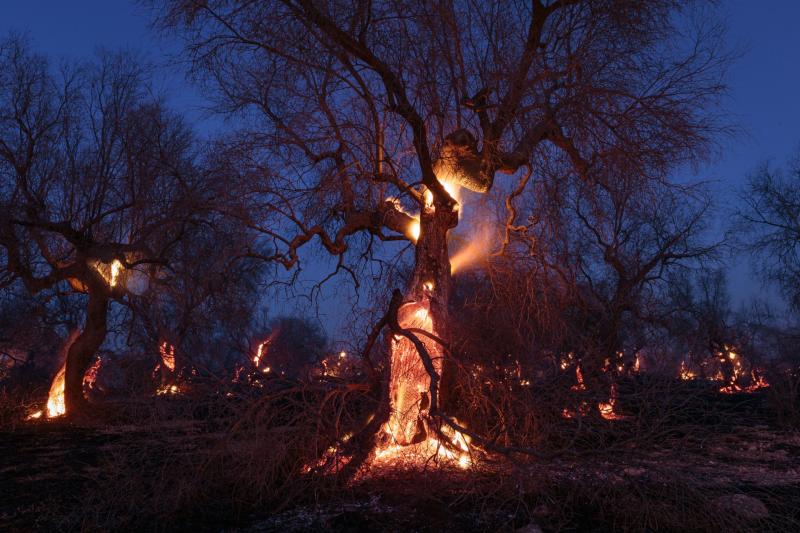 Earth Photo exhibition returns to Haldon Forest Park
