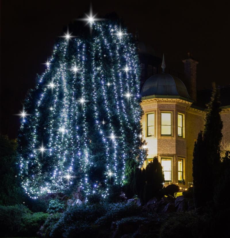 Light up a Life this Christmas