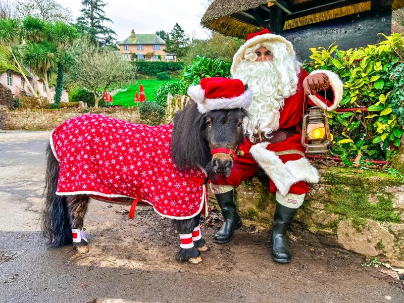 Patrick the Pony and Santa