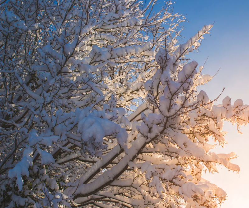 Snow