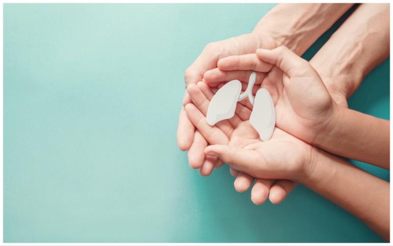 Help to create a smokefree generation