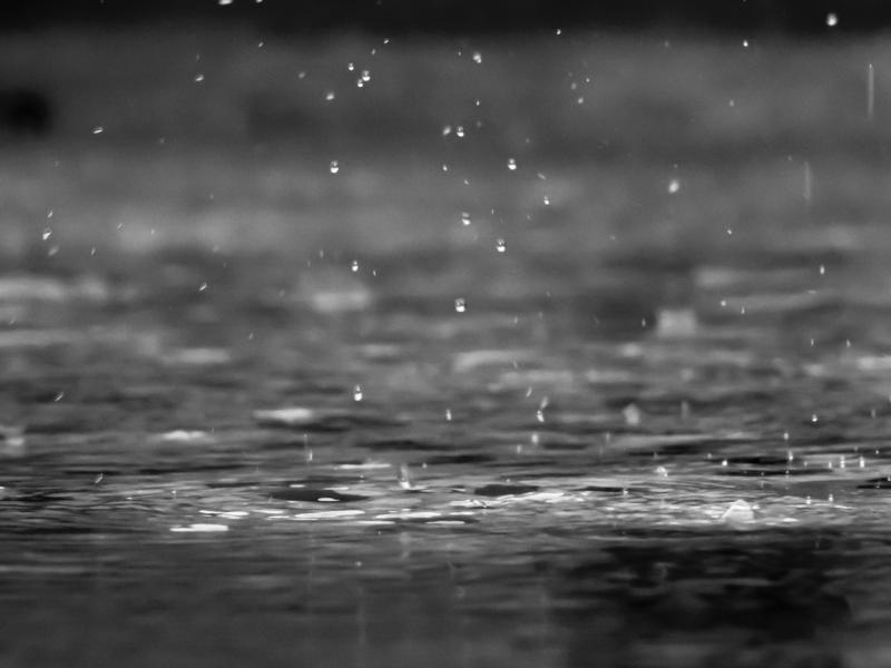 Weather: Wind and rain on the way for today
