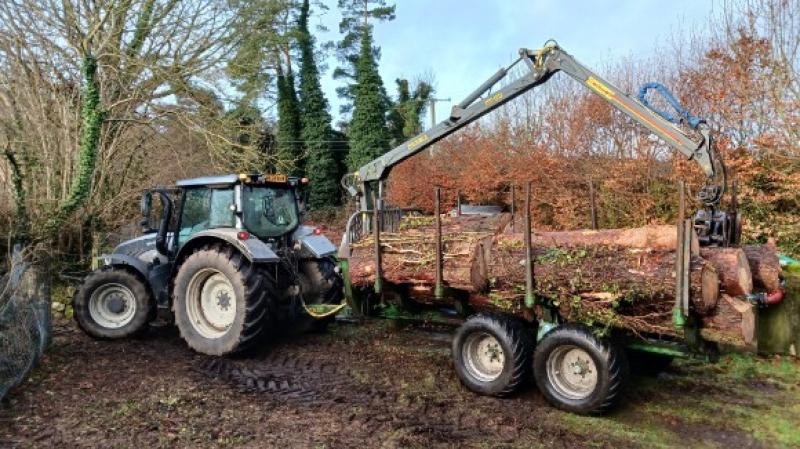 South West Water to restore peatland at Burrator Reservoir