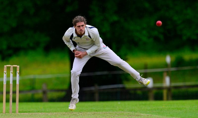 Secret Cricketer. Pic from PPAUK