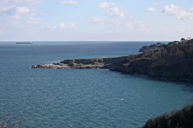 Final call to nominate your Torbay Community Champions 2025