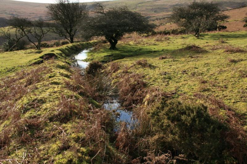 Dartmoor national park authority acquires Buckfastleigh Moor with Defra grant
