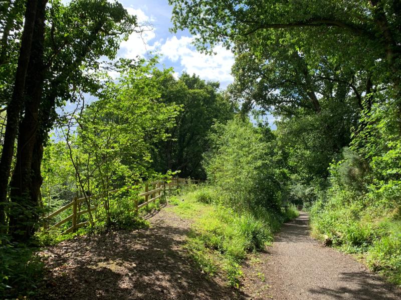 The Wray Valley Trail from Bovey Tracey to Hawkmoor Halt