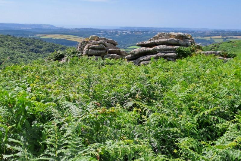 Preserving Dartmoor's future today
