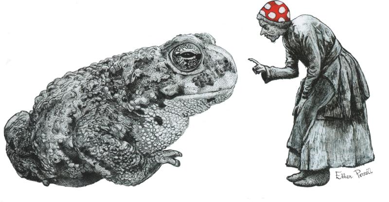 Toad Witch by Ethan Pennell