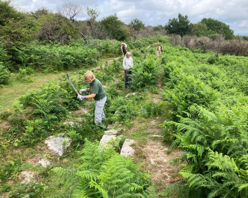 Young leaders invited to shape the future of Dartmoor