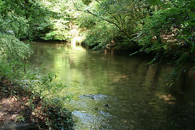 Public invited to celebrate the River Plym and its communities in Plymouth