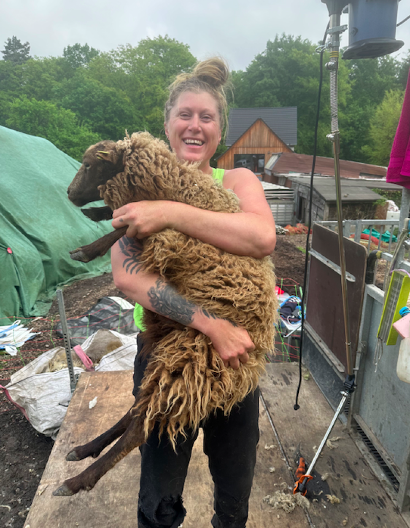 Farmers campaign for sheep shearing equipment for Balkan farmers