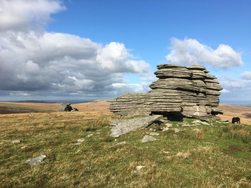Dartmoor Nature Alliance launched to restore wildlife