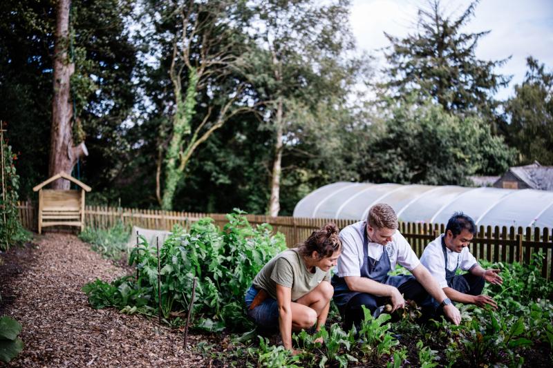 Bovey Castle Hotel launches garden tours
