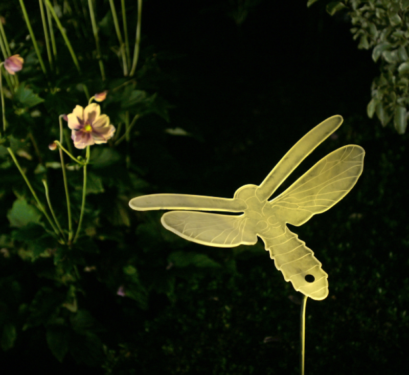 Trevi hosts “Secret Firefly Garden” to illuminate hope for survivors of violence