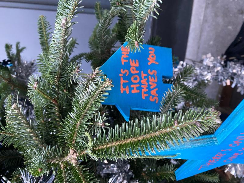 Exeter charity Julian House unveils Christmas tree of hope in Princesshay