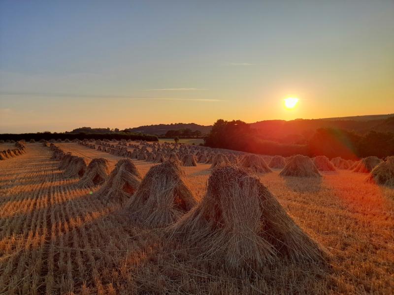 West Devon Borough Council calls on Government to rethink proposed Agricultural Property Tax